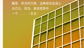 �Ҳ�����һֻ��Ƽ