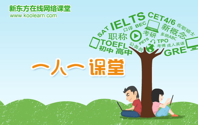 级VIP全程班服务体验 - 新东方在线网络课堂 |